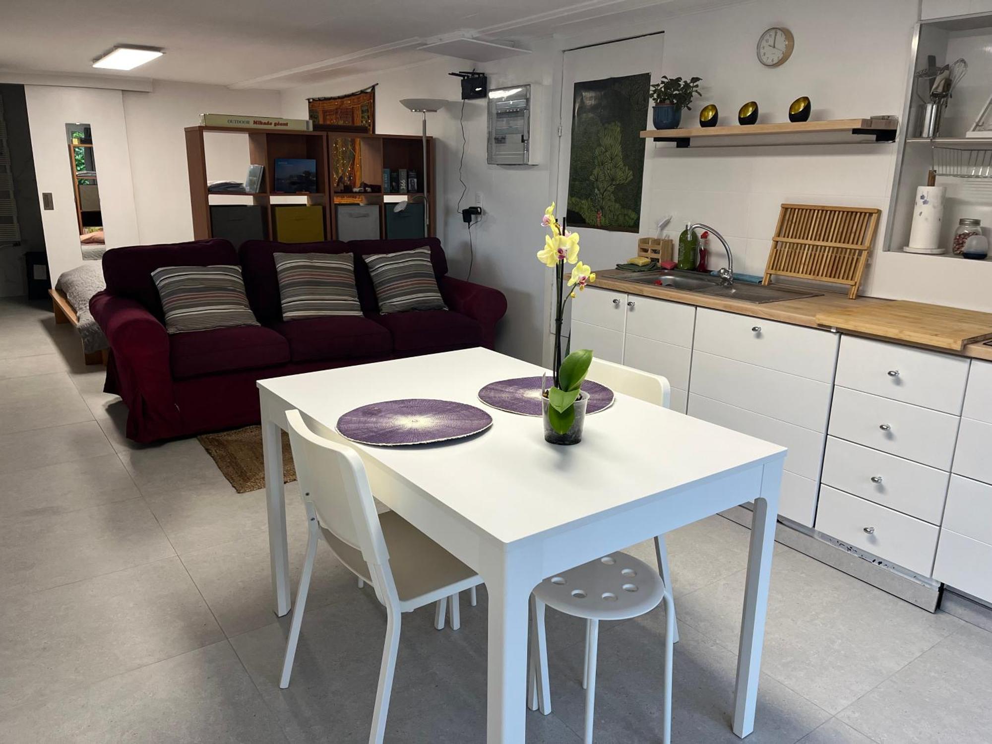 Studio Renove Rdc Terrasse Wepion Namur Exteriör bild